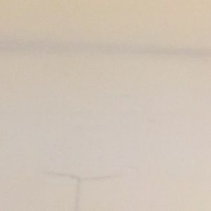 Meet your Posher, Sasam